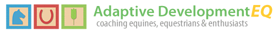 Adaptive Development EQ