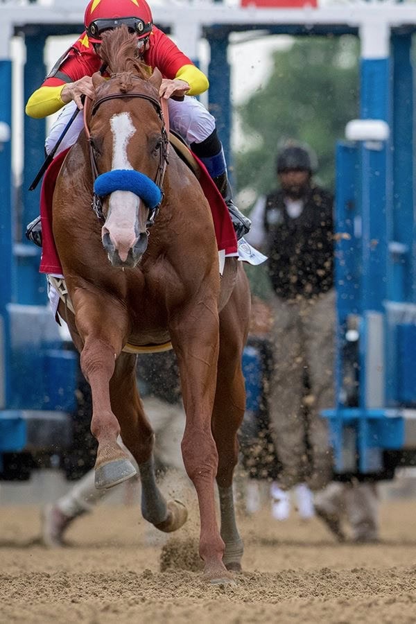 jockey demonstrating balanced position and soft hands while riding