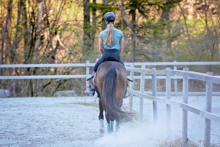 Riding Fundamentals: The Seat (Part 1 Of 2)