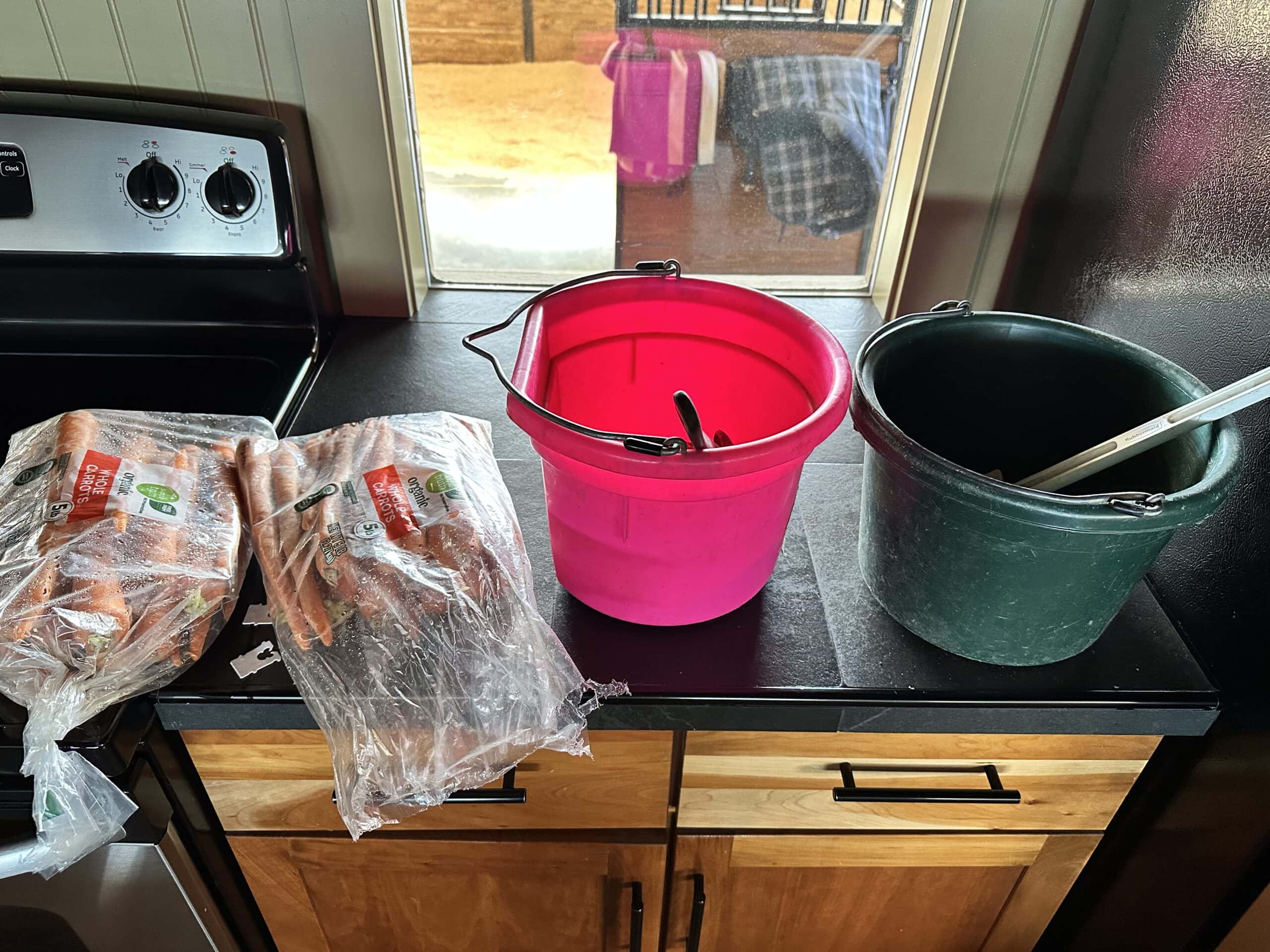 preparing equine feed, beet pulp, supplements and bran for nutrition program